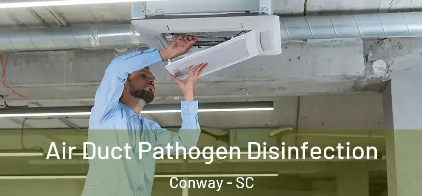 Air Duct Pathogen Disinfection Conway - SC