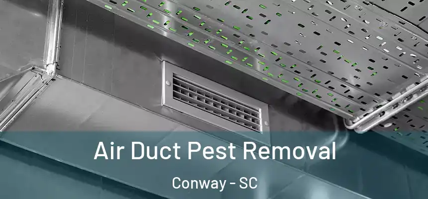 Air Duct Pest Removal Conway - SC