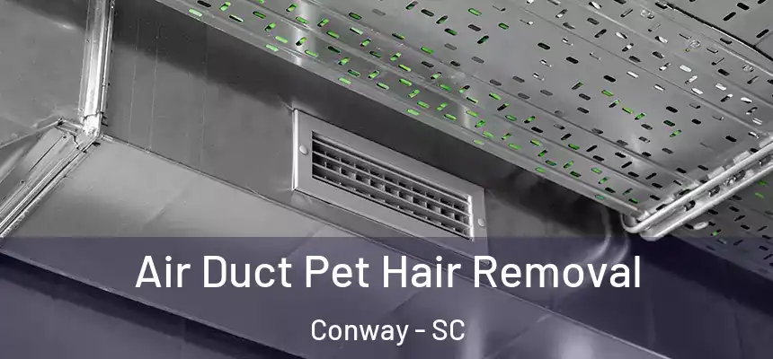 Air Duct Pet Hair Removal Conway - SC