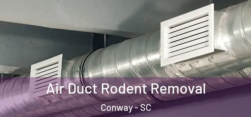 Air Duct Rodent Removal Conway - SC