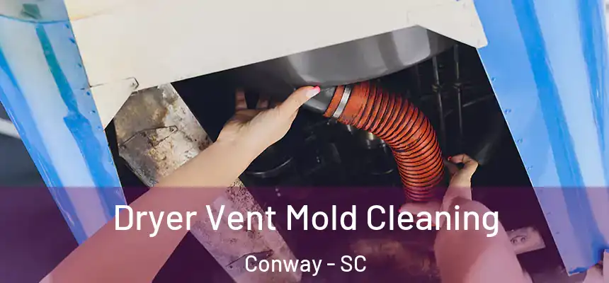  Dryer Vent Mold Cleaning Conway - SC