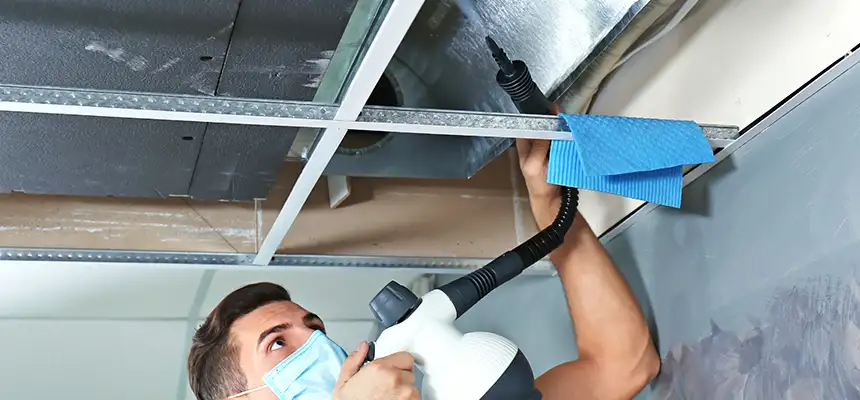 Our Air Duct Rodent Removal Services in Conway, SC