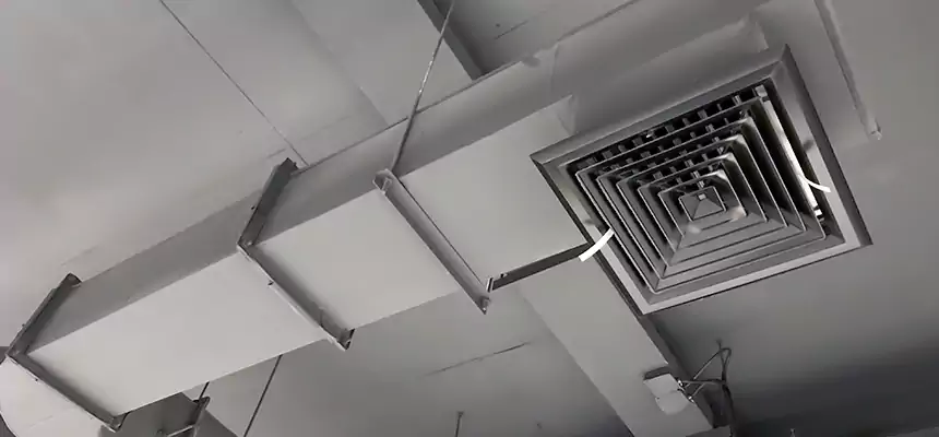 Our Pest Removal From Ducts Services in Conway, SC