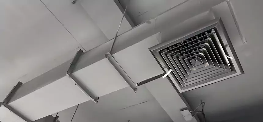 Our Rodent Droppings In Vents Services in Conway, SC