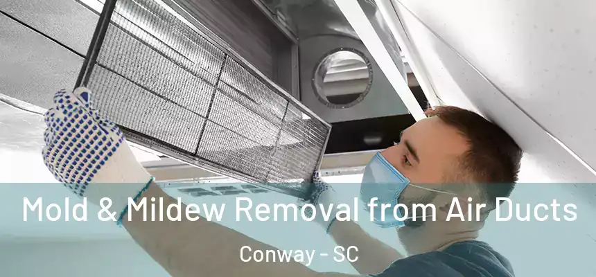  Mold & Mildew Removal from Air Ducts Conway - SC
