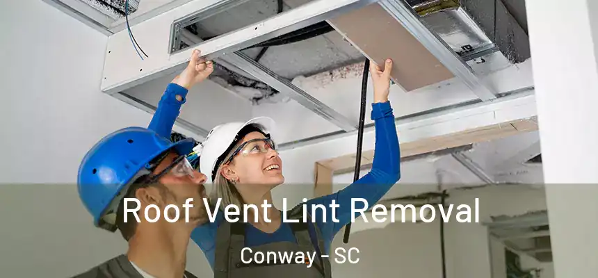 Roof Vent Lint Removal Conway - SC
