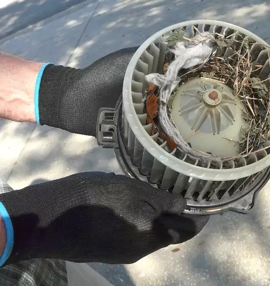 About Air Duct Mice Removal in Conway, SC