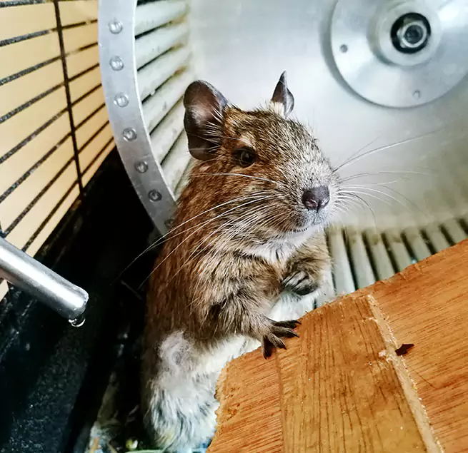 Why Homeowners & Businesses Trust Us Conway, SC