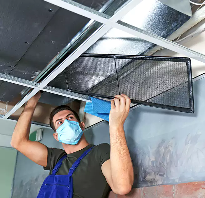 Why Homeowners Businesses Trust Us in Conway, SC