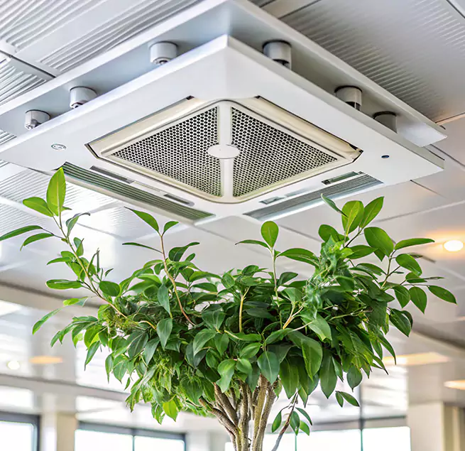 Why Homeowners & Businesses Trust Us in Conway, SC