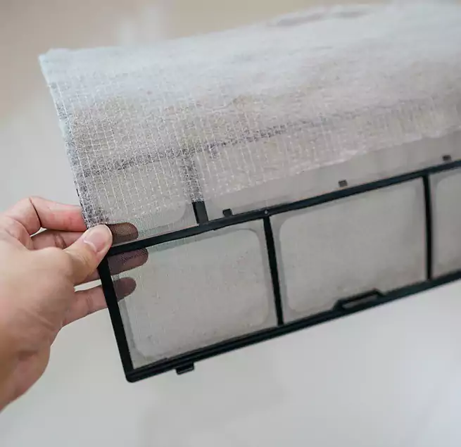 Why Homeowners & Businesses Trust Us in Conway, SC?